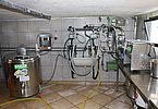 IMG 7776