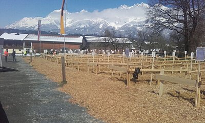 Oberndorf-Wiesenschwang ist gerüstet!