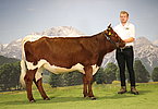 142 Riedlsperger Hinterwinkl