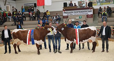 Herausragendes Finale mit hochkarätigen Siegerinnen - Gesamt- und Eutersiegerin KARLA (V.Brutus) von Ernst Moser, Hacker, Welsberg und Reservesiegerin BAIERIN (V.Lordy) von Othmar Hofer, Herrenhaus, St. Lorenzen