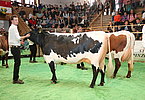 IMG 6805