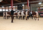 IMG 0429