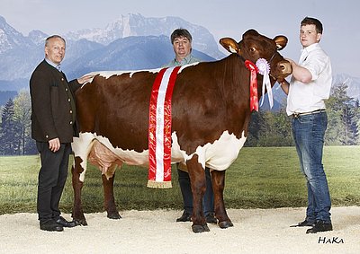 Champion MUNTER (V.Rat) von der LFS Bruck