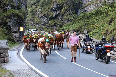 Nicht wirklich zum Freuen ist die Gefahr, die auf der Straße lauert ;(...