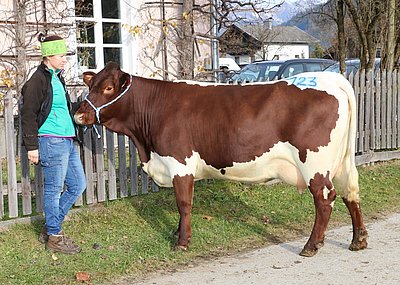 Viel Freude bei Resi Innerhofer, Reit, Hollersbach über den Verkauf von Jungkuh RUPERTA (V.Felber)