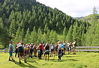 IMG 2018