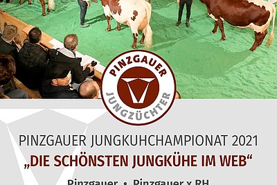 News Titelbild
