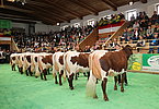 IMG 6318