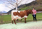 IMG 7003