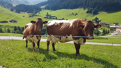 Die beiden von Familie Engel, die den Sommer daheim verbringen