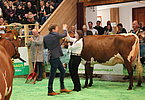 IMG 6212