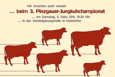 News Titelbild