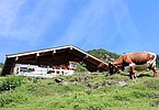 IMG-20230809-WA0051