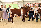 IMG 0524