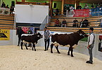 IMG 2890