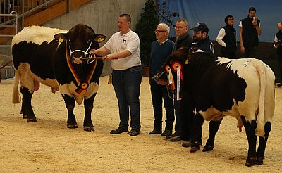 Bundessieger 2020 - kr Maik von Marcus Mihm und UE Nick von Norbert Uebler!