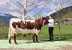 IMG 6898