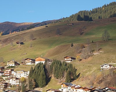 Durchgehend steil - so präsentiert sich der Mitterstererhof auf der Hinterglemmer Sonnenseite! (Bildmitte)
