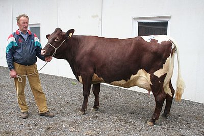 News Titelbild