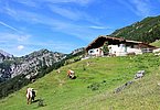 IMG-20230809-WA0047
