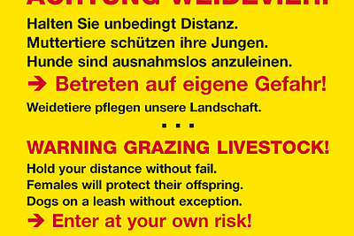 News Titelbild