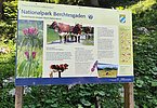 Stolz auf seine Pinzgauer - der Nationalpark Berchtesgaden!