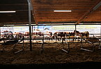 IMG 4686