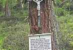 IMG-20240616-WA0032