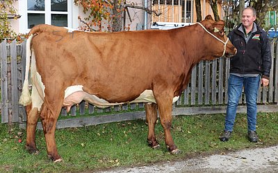 Zweitkalbskuh BRIX (V.Ritter, 49,5%RF) von Wolfgang Porsche, Schüttgut, Zell am See