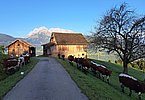 Der nächste schöne Tag im beginnenden Sonnenlicht!