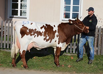 Leistungsstarke SELINA (V.Notar) von Andreas Riepler, Jandl, Wagrain
