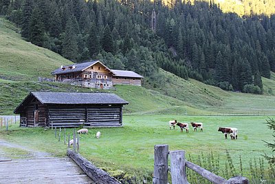 Eine der ursprünglichsten und traditionellsten Hütten im Großarltal - die Hubalm der Familie Gruber, Reit