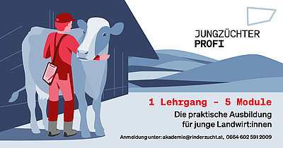 Termine Titelbild