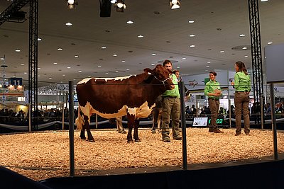 Macht einen guten Job - Tierbetreuer Peter Lechner