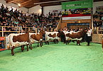 IMG 6747
