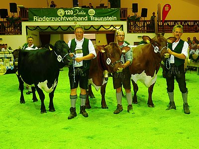 Pinzgauer-Siegertrio: vl. HANNI von Martin Gramelsberger, ENZIAN von Anna Sterzinger, LAURA von Josef Mösenlechner.