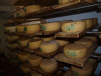 liefert den wertvollen Rohstoff für die reichhaltige Käsepalette der Hofkäserei Stroblberg!