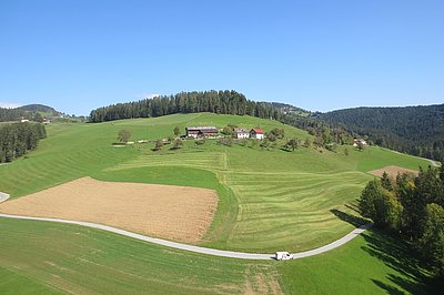 Die neue Heimat von Alfa - der Weglenzhof in Kainach/Voitsberg, wo sich's durchaus gut leben lässt!