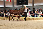 IMG 0657
