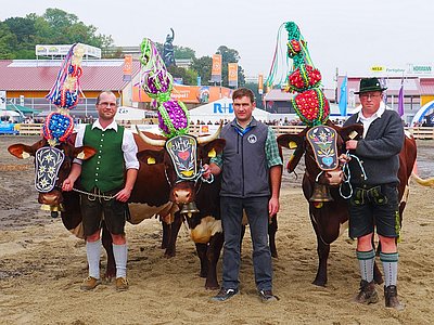Bayern legt Wert auf seine Traditionen! Imponierend präsentierte sich die Milchkuh-Gruppe - v.l. Enzian (V.Stahl) von Anna Sterzinger, Marktschellenberg; Kitzbühel (V.Kamper) von Josef Koller, Bischofswiesen; Ella (V.Lotus) von Martin Gramelsberger, Üb