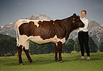 104 LWS-Bruck