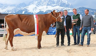 Gesamtsiegerin der PinzgauerxRF-Abteilung: KLARA (V.Jorck Red) von Matthäus Hochfilzer, Ginsberg, Going
