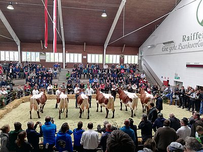 Den Abschluss bildete der Besuch der Jubiläumsschau in St. Lorenzen
