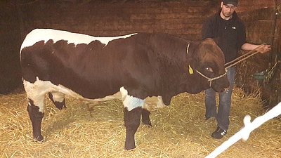 Und endlich angekommen! Manta am Hof der Fam. Schäfer in Nordrhein-Westfalen!