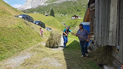 Erntehelfer jederzeit willkommen!