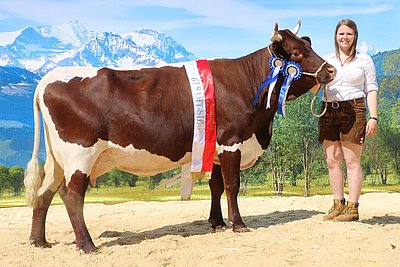 Gesamtsiegerin Pinzgauer: Jungkuh EDELWEISS (V.Samson) von Hubert Wörgötter, Moosburg, Uttendorf