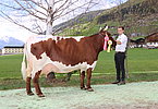 IMG 6967