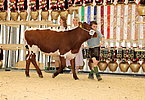 IMG 0414