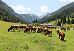 IMG 2065