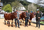Der Kendlhof wird von Martin Etzer und seinen Söhnen Florian und Patrick mit den Kühen Heidi (V.Loser), Hamburg (V.Fill) und Alfa (V.Loser) repräsentiert.